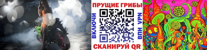 OMG сайт  Черепаново  Псилоцибиновые грибы Psilocybe 